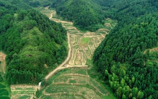 富盈短视频制作 资兴兴宁镇富盈村：支部农场“辣”出新产业