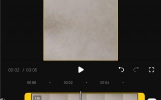 怎么剪辑动物短视频呢 抖音 AI 动物视频制作全教程：让大橘猫和金毛成为故事主角